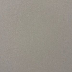 Rhonda shear smooth pin up with lace trim size L